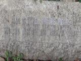 image of grave number 595115
